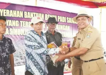 Sawah dan Kebun Kebanjiran Mulai Didata