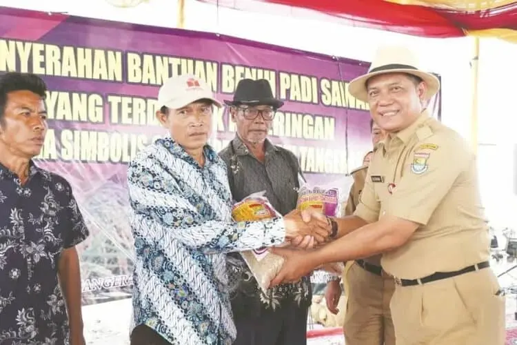 Sawah dan Kebun Kebanjiran Mulai Didata