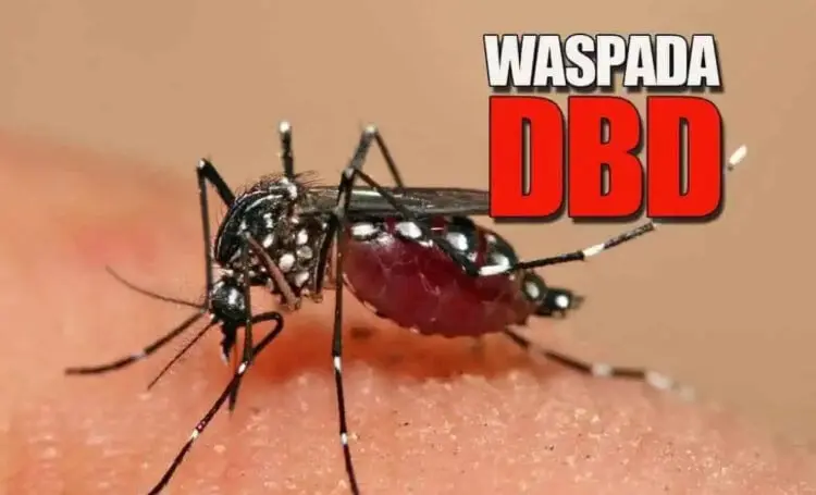 Komisi IV DPRD Ingatkan Dinkes