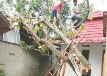 Hujan Disertai Angin Kencang Rusak 7 Rumah