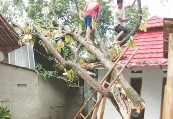 Hujan Disertai Angin Kencang Rusak 7 Rumah
