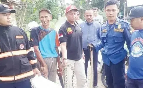 BPBD Amankan 20 Ekor Ular Liar