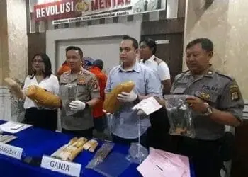 Dua Pengedar Ganja Diciduk