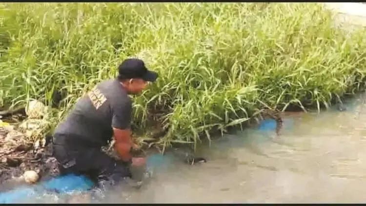 Ada Buaya dan Ular Muncul di Lokasi Banjir Tangerang