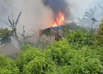 60 Gubuk Penambang Emas Ilegal Dibakar Warga