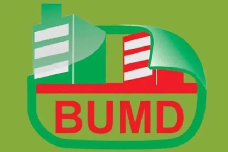 Penyertaan Modal BUMD Rp300 Milar Dihentikan