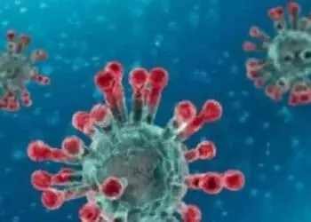 Virus Corona Pukul UMKM