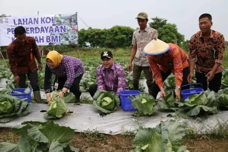 Panen Hortikultura Melimpah, Bupati hingga Petani Sumringah