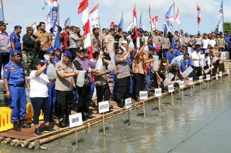 Cegah Abrasi, Kapolri, Panglima TNI dan Bupati Zaki Tanam Mangrove