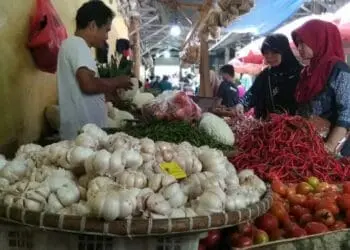 Harga Bawang Bombay di Lebak Melambung