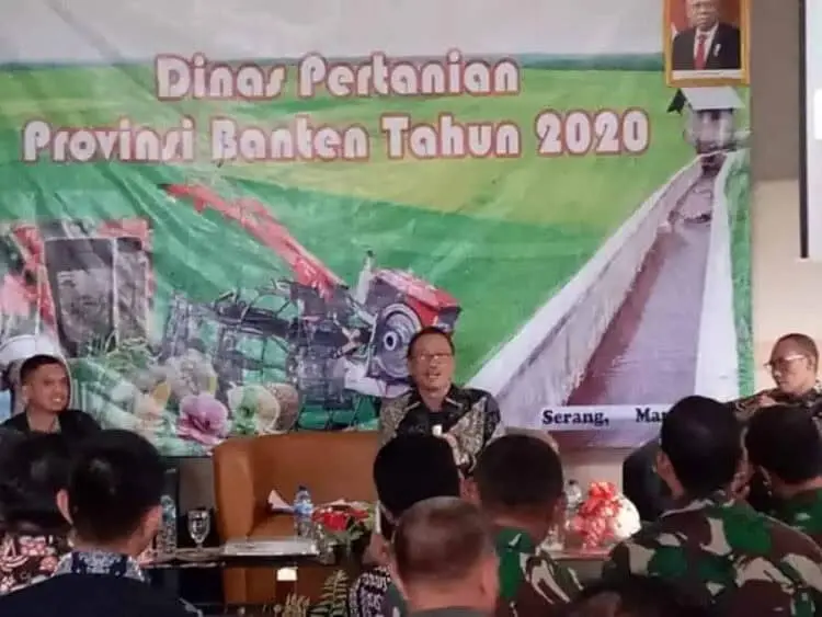 Kembangkan Usaha Pisang dan Durian, Pemprov Siapkan 1.000 Hektar