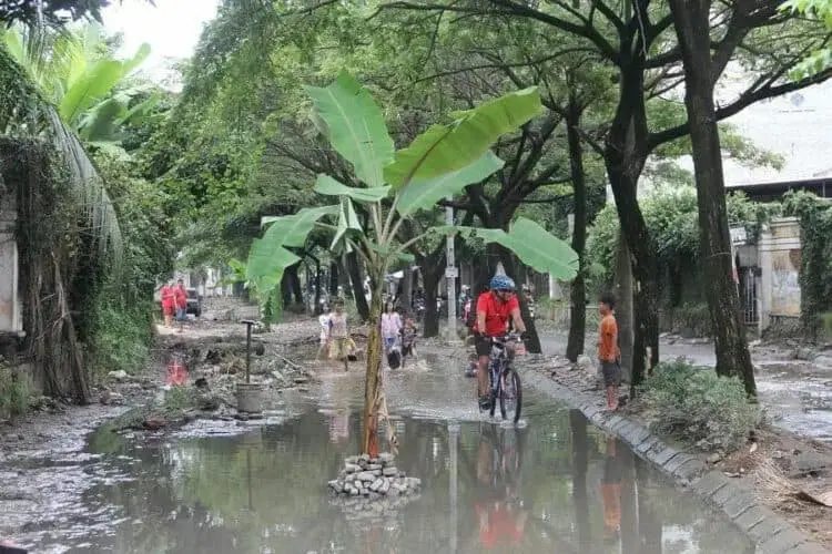 Tak Kunjung Diperbaiki, Jalan di Taman Royal Ditanami Pisang