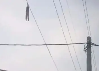 Bocah Bergelantungan di Kabel Sutet Bikin Heboh