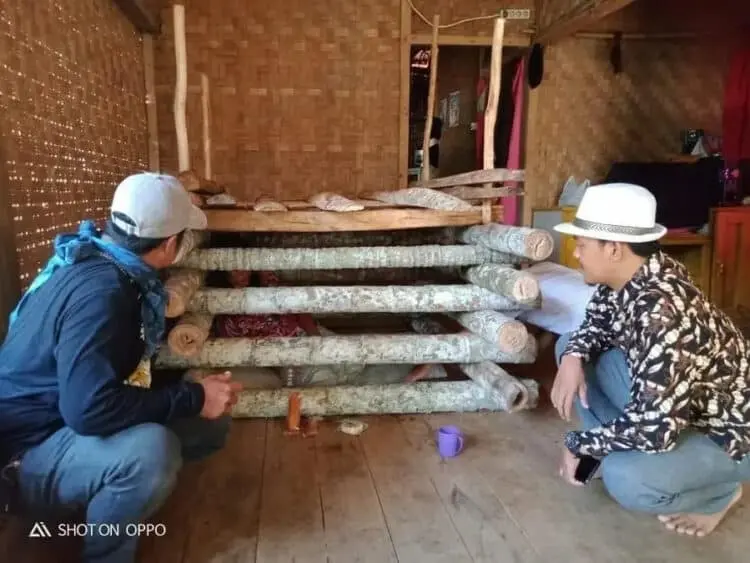 Janda Dua Anak Dikurung Dalam Kandang