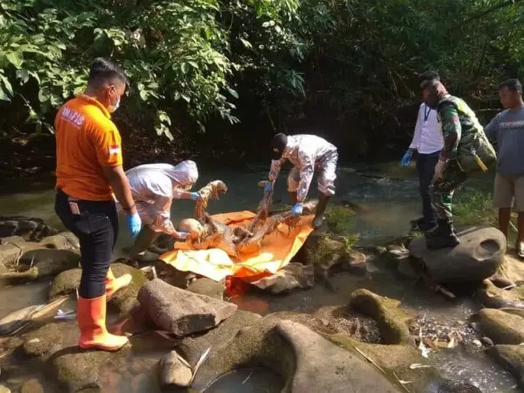 Penemuan Jasad Tinggal Tulang Belulang Gegerkan Warga Cileles