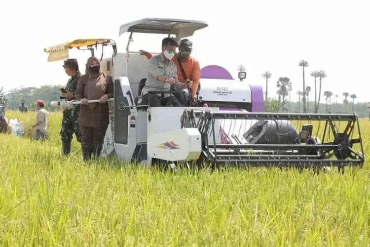 Panen Raya, Mentan dan Bupati Irna Terjun Langsung ke Sawah