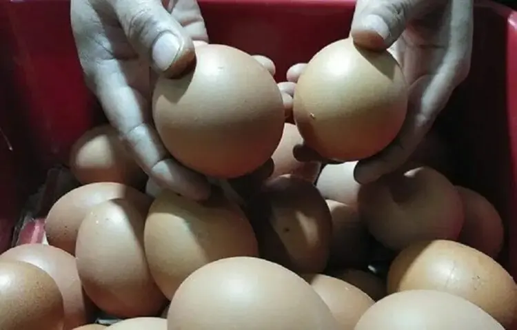 Disebut Bahayakan Kesehatan, Telur Infertil Marak Dijual di Lebak