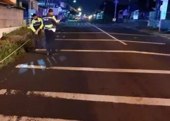 Diduga Hilang Kendali, Truk Seruduk Pengendara Motor Hingga Tewas
