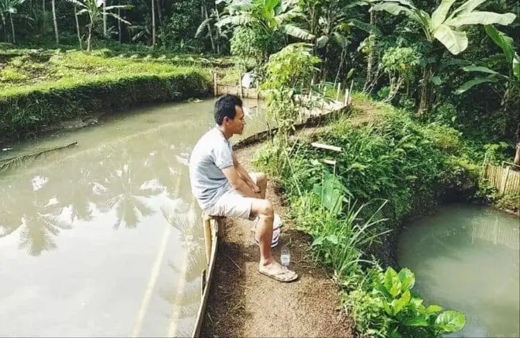 Millenial di Pandeglang Kembangkan Budidaya Ikan Tawar