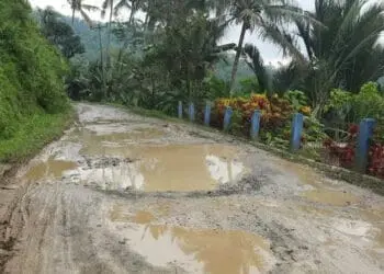 Harap Sabar, Anggaran Pembangunan Jalan Rusak di Sobang Bakal Diusulkan Lagi