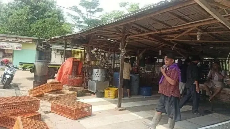 Harga Melambung, Pedagang Ayam Mogok Jualan