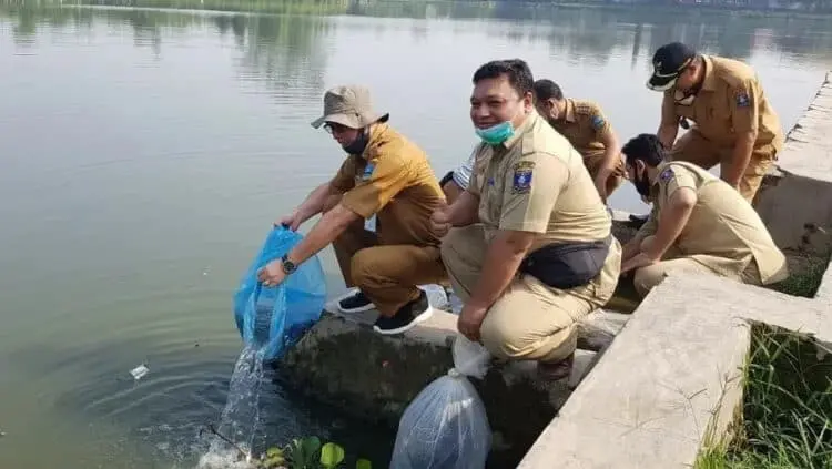 92 Ribu Benih Ikan Ditebar di Situ Ciherang