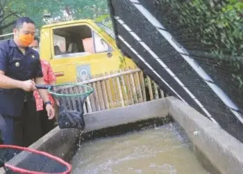 Manfaatkan Lahan Kosong, Panen Lele dan Kangkung