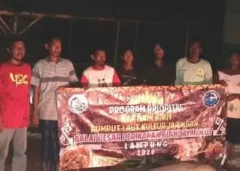 Pembudidaya Rumput Laut di Serang Terima Bantuan
