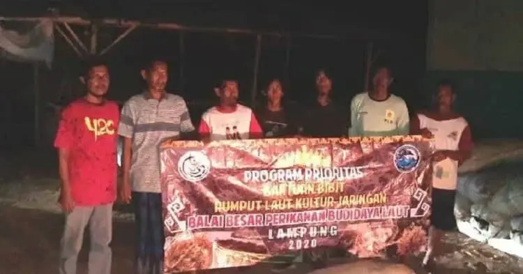 Pembudidaya Rumput Laut di Serang Terima Bantuan