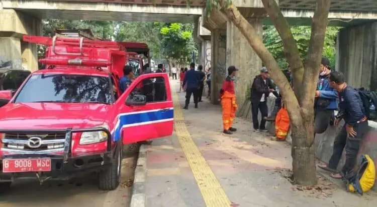 Sepanjang Tahun 2020, Damkar Tangsel Tangkap 34 Ular