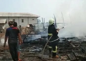 Kandang Terbakar, 4.800 Ekor Anak Ayam Terpanggang