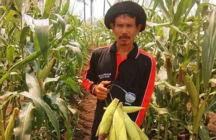 Pemkab Tangerang Klaim Ketersediaan Pangan Aman Hingga Oktober 2020