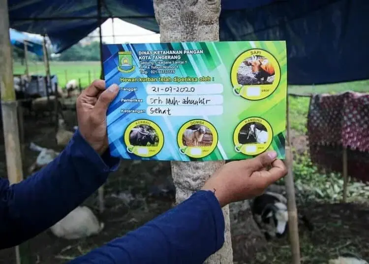 Pengecekan Hewan Kurban di Kota Tangerang