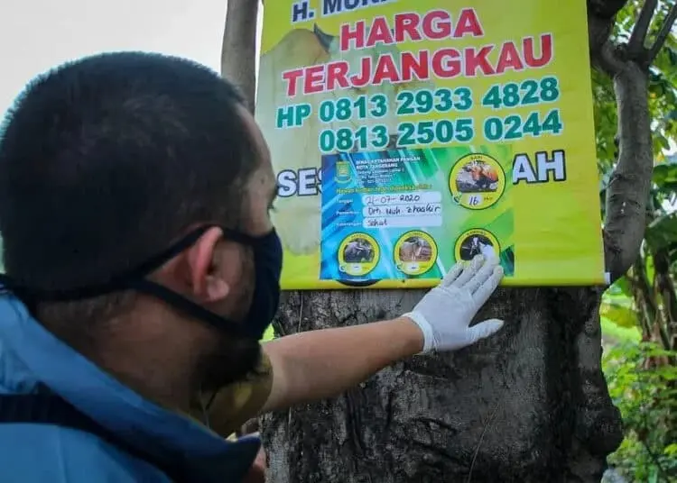Pengecekan Hewan Kurban di Kota Tangerang