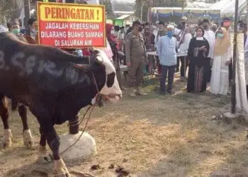 HEWAN KURBAN: Bupati Serang Ratu Tatu Chasanah menghadiri dan menyerahkan hewan kurban kepada beberapa lembaga keagamaan, usai melaksanakan Salat Idul Adha 1441 H, Jumat (31/7) lalu. (SIDIK/SATELIT NEWS)