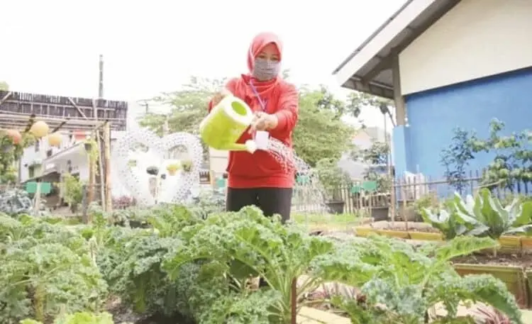 SIRAM SAYURAN: Anggota KWT Anthurium Pondok Arum, Karawaci, Kota Tangerang sedang menyiram sayur mayur, Kamis (6/8). (MADE/SATELIT NEWS)