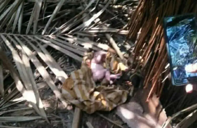 DITELANTARKAN: Tampak bayi tanpa pakaian dan hanya dialasi kain yang ditelantarkan orang tuanya di semak-semak kebun kiray, Selasa (4/8). (ISTIMEWA)