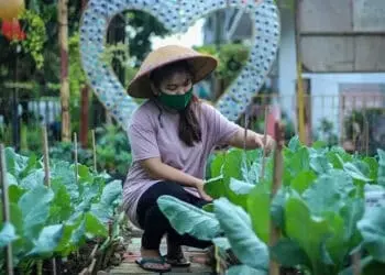 ILUSTRASI: Anggota Kelompok Wanita Tani (KWT) Anthurium tengah memeriksa tanaman sayuran yang ditanam di pekarangan Komplek Pondok Arum RT 06/03, Kecamatan Karawaci, Kota Tangerang, beberapa waktu lalu. (DOKUMEN/SATELIT NEWS)