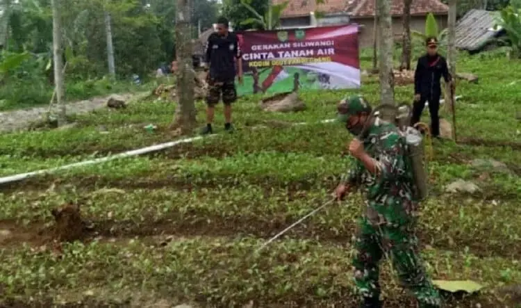 PENYEMPROTAN: Jajaran Kodim 0601 Pandeglang sedang melakukan penyemprotan tanaman menggunakan pupuk bios 44 di salah satu lahan milik warga Pandeglang. (NIPAL/SATELIT NEWS)