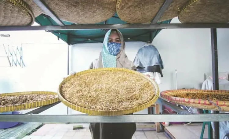 UMKM PRODUSEN JAMU: Pelaku UMKM menyelesaikan proses pembuatan jamu I’jaah Moe yang diproduksi secara pribadi di rumahnya, Pakojan Pinang, Kecamatan Pinang, Kota Tangerang, Minggu (23/8). Pemerintah Pusat memiliki program Bantuan Sosial (Bansos) untuk pelaku Usaha Mikro Kecil dan Menengah (UMKM) dalam bentuk dana hibah dan modal kerja sebesar Rp 2,4 juta per pelaku UMKM. (DEDE KURNIAWAN / SATELIT NEWS)