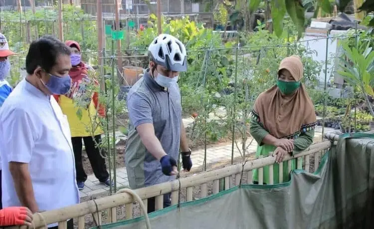 Tak Punya Lahan untuk Tanaman Produktif, Walikota Arief: Kita Kasih Polybag