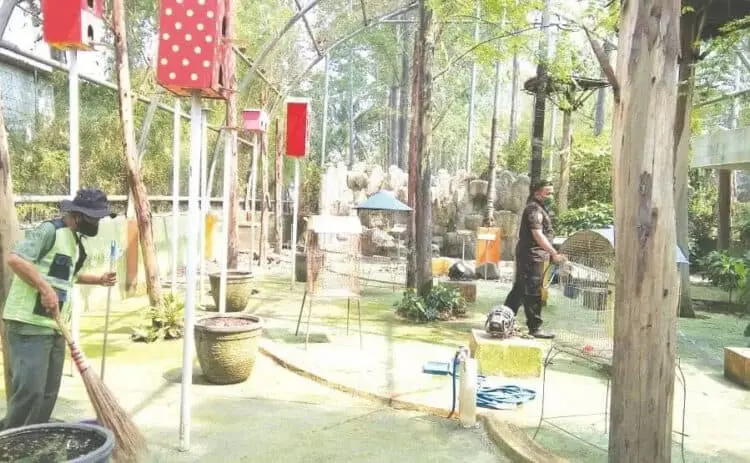 Pandemi Tak Pengaruhi Koleksi Satwa Pemkot Tangerang