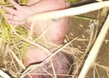PENEMUAN BAYI: Kondisi bayi saat pertama kali ditemukan oleh warga Kampung Rawa Rotan, Desa Babakan Asem, Kecamatan Teluknaga, Selasa (1/9). (ISTIMEWA)