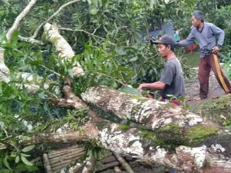 Disapu Angin Kencang, 26 Rumah di Pandeglang Rusak