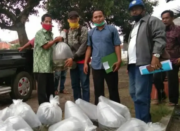 Pemkab Pandeglang Distribusikan Bantuan Induk Ikan Mas