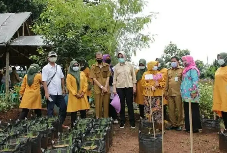 Ketika Walikota Airin Panen Bunga Anggrek