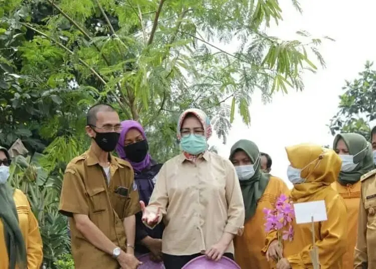 Ketika Walikota Airin Panen Bunga Anggrek