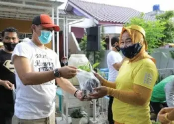 Pinang Eksotis, Kreasi Warga Kala Pandemi