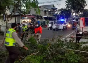 Pohon Tumbang, Arus Lalulintas Macet