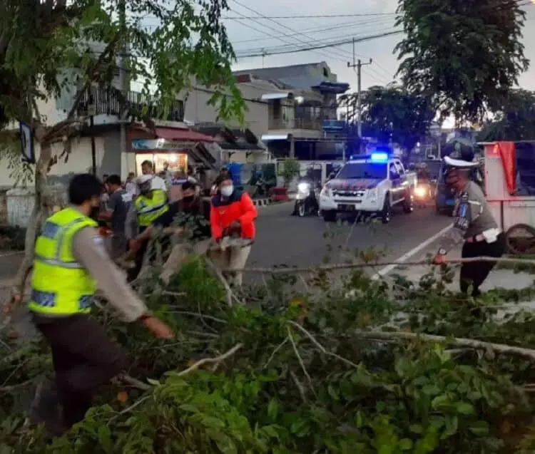 Pohon Tumbang, Arus Lalulintas Macet